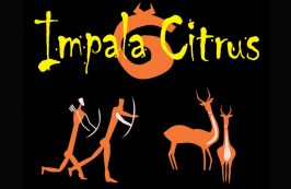 Impala Citrus